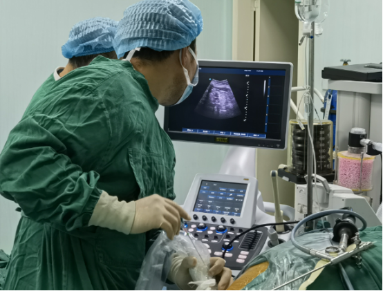 经皮肾镜的穿刺取石术