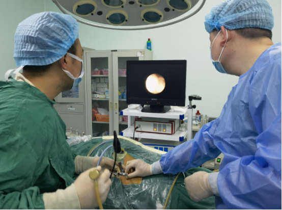 经皮肾气压弹道碎石取石术